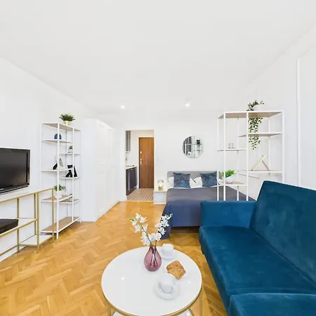 Stylish And Bright Pet-friendly By Renters Apartment
